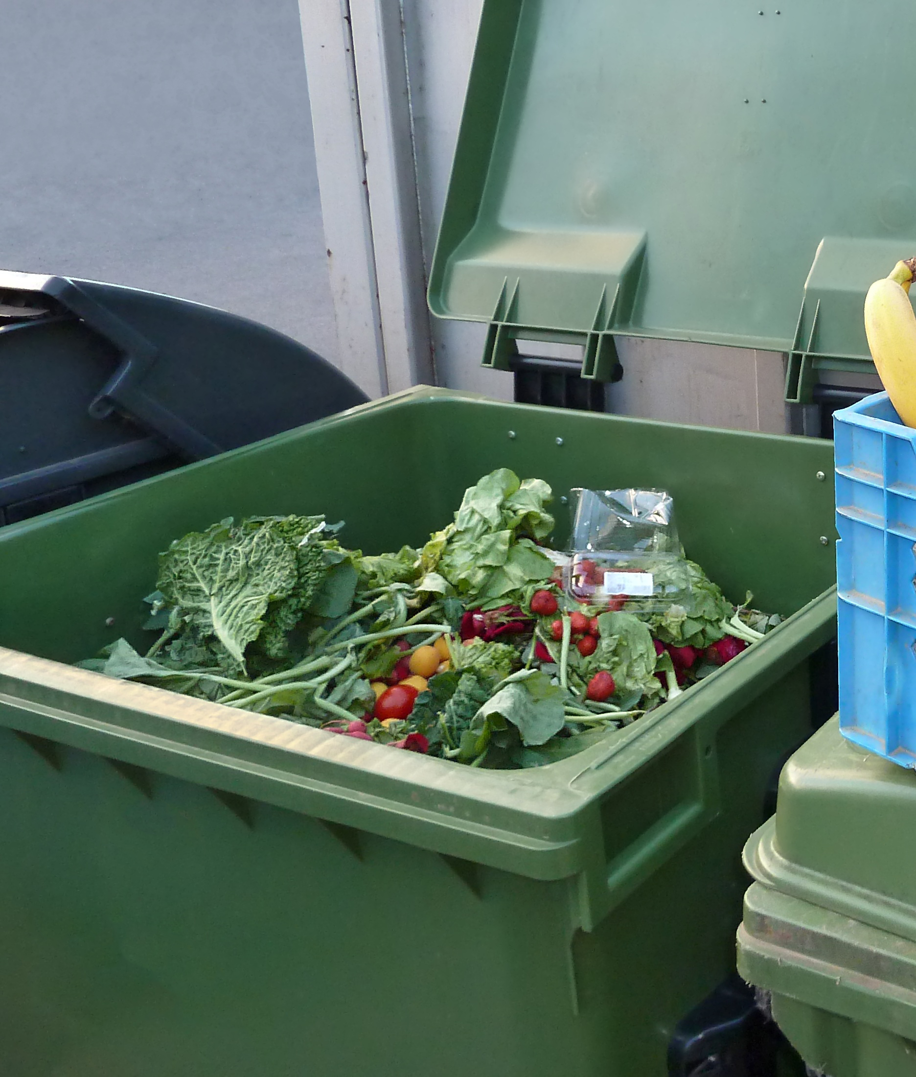 Frontpage Image (Trash bin filled with food)