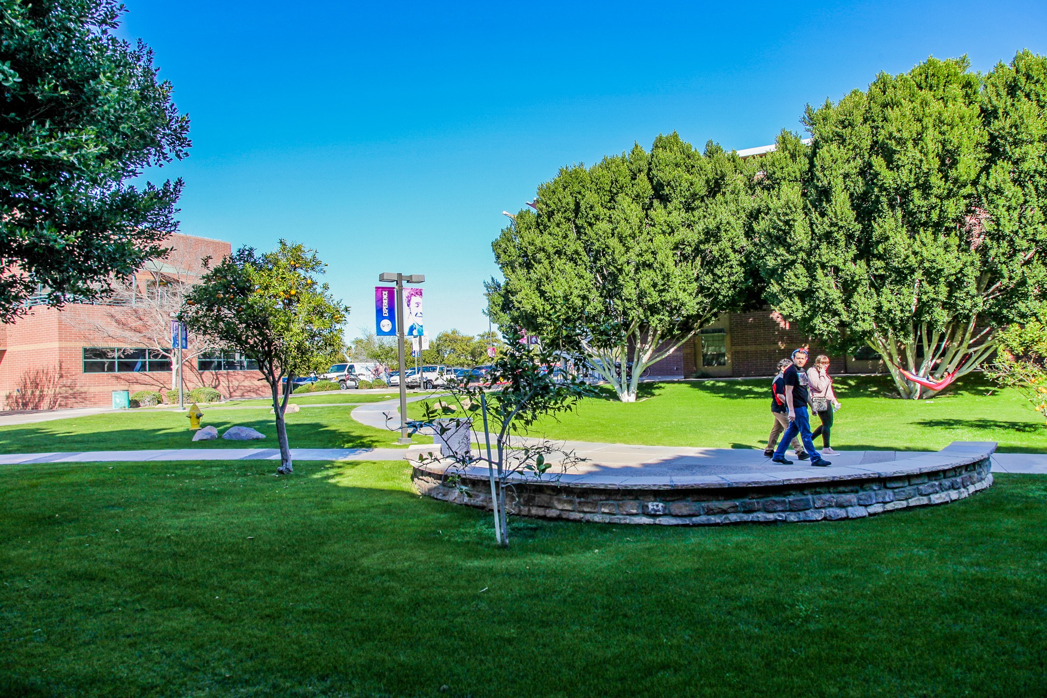 Image of the university